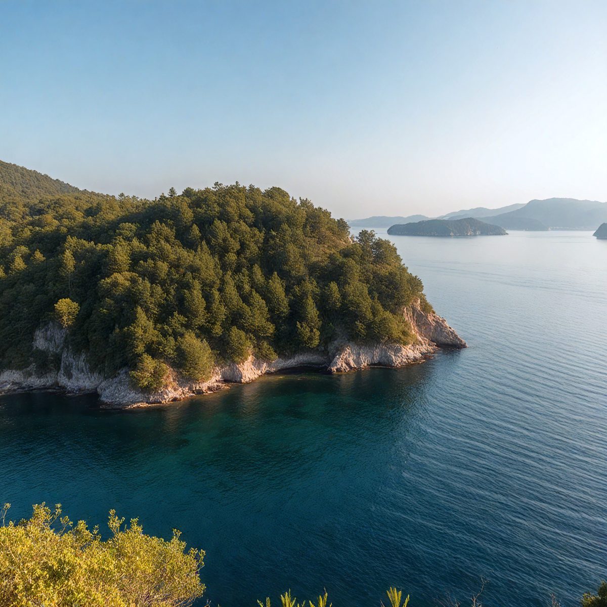 319dfb19-46fe-410d-9325-f661c68843ed-turkish-forests-island-b4cfa7_250319182646_Filename Text 2_04074_Filename Text 3_result.jpg